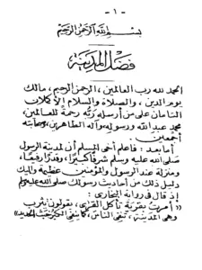 كتاب آداب الزيارة للمدينة النبوية لأبي بكر جابر الجزائري PDF